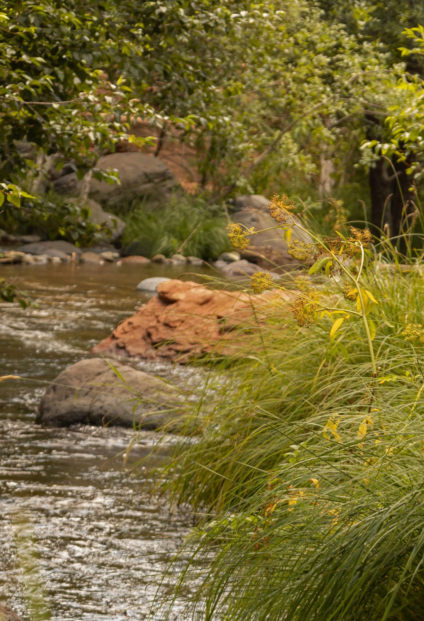 Oak Creek, Sedona AZ